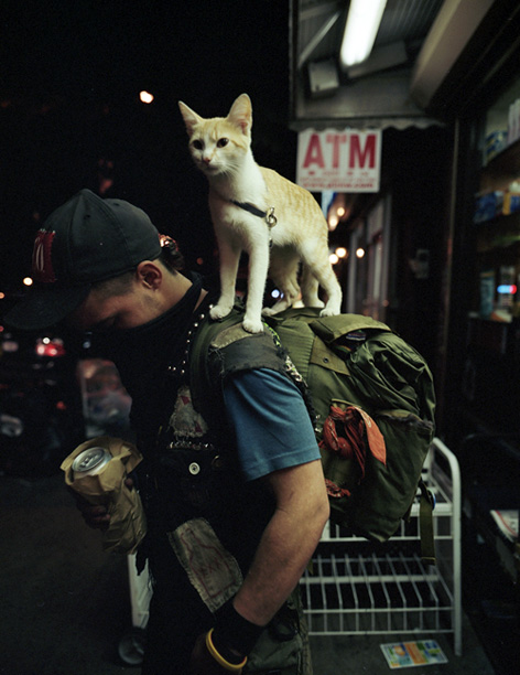 kitty