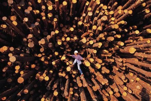 logpile